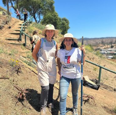 Parque-El-Olivar-VIña-del-Mar